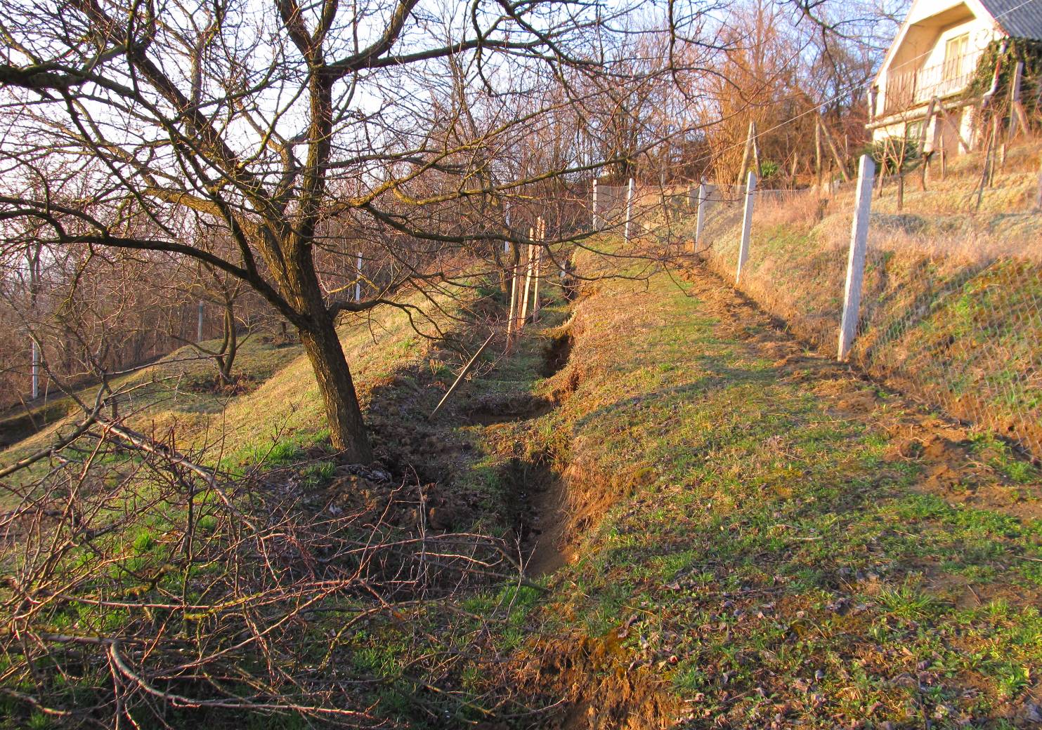 Terrace cropping as one of the agricultural adaptation solutions